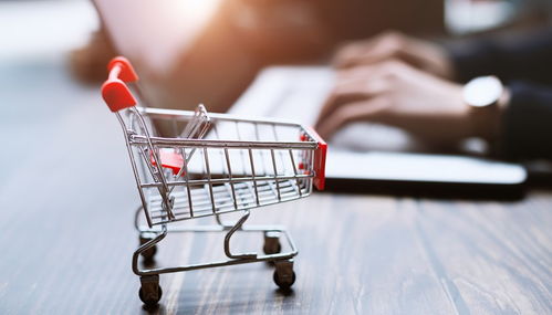 可持續(xù)盈利性二手商品銷售的經(jīng)營(yíng)者責(zé)任